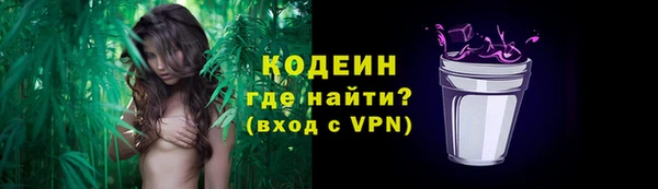 шишки Волоколамск