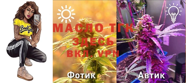 шишки Волоколамск