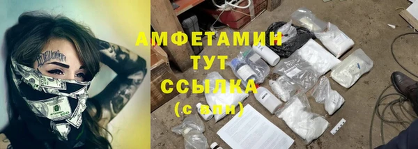 шишки Волоколамск