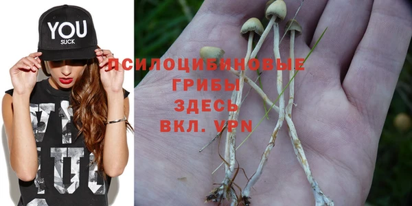 скорость Володарск